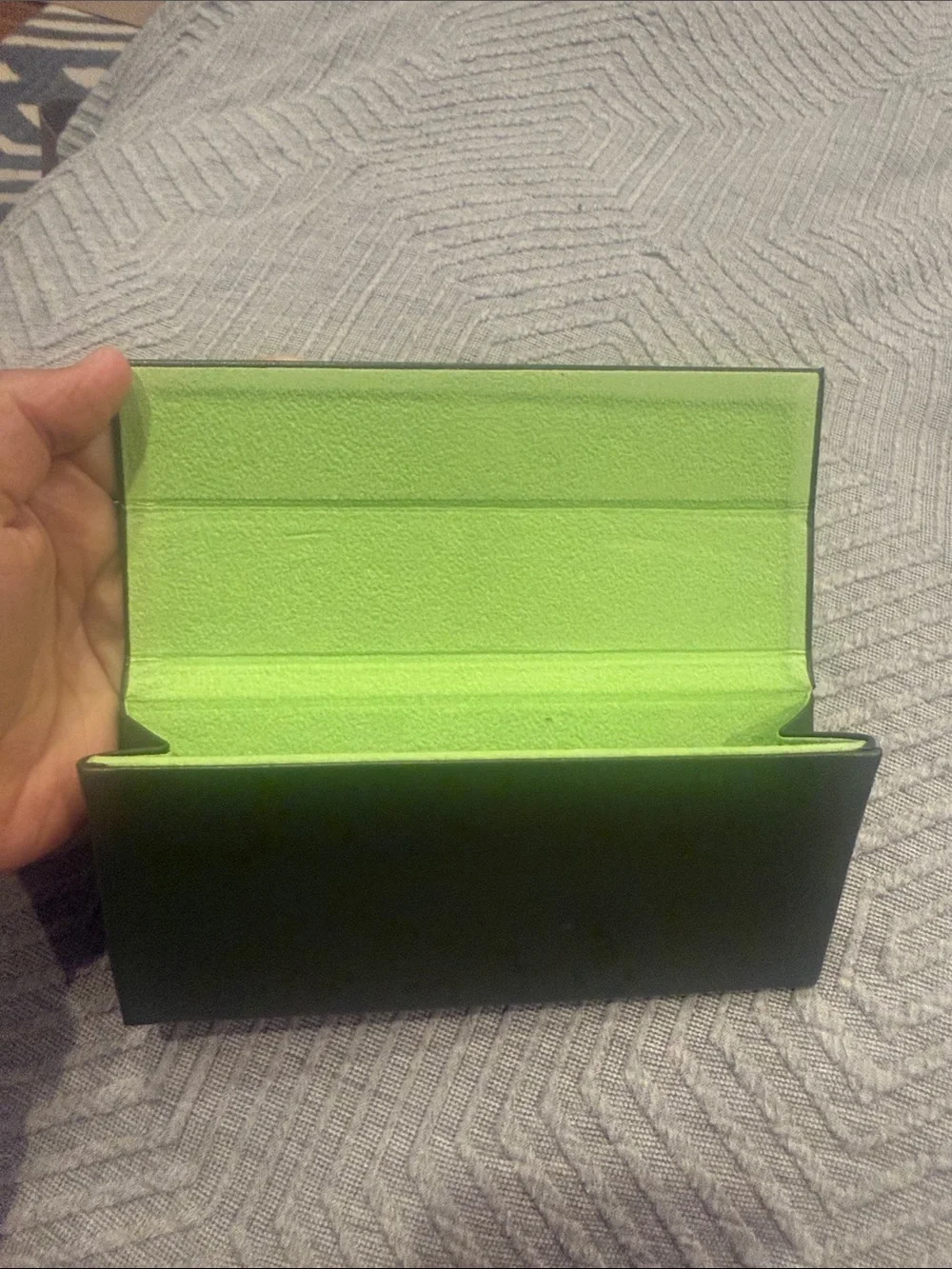 Longchamp Green Eye Glass Case